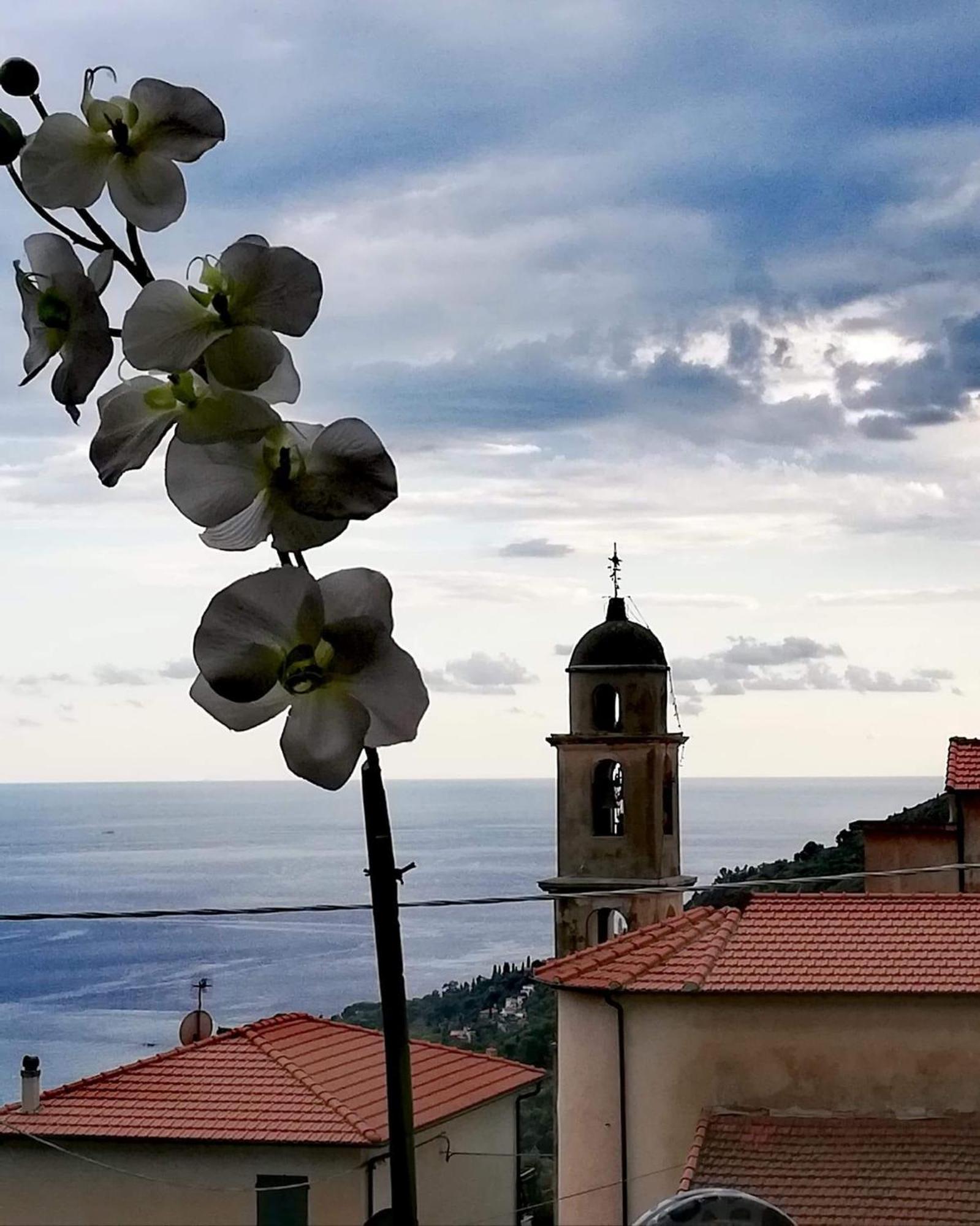 Dolci Risvegli Appartamento Vista Mare Ventimiglia Exterior photo