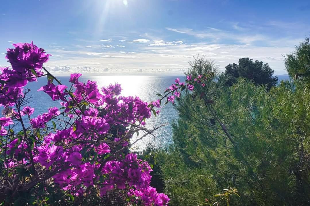 Dolci Risvegli Appartamento Vista Mare Ventimiglia Exterior photo